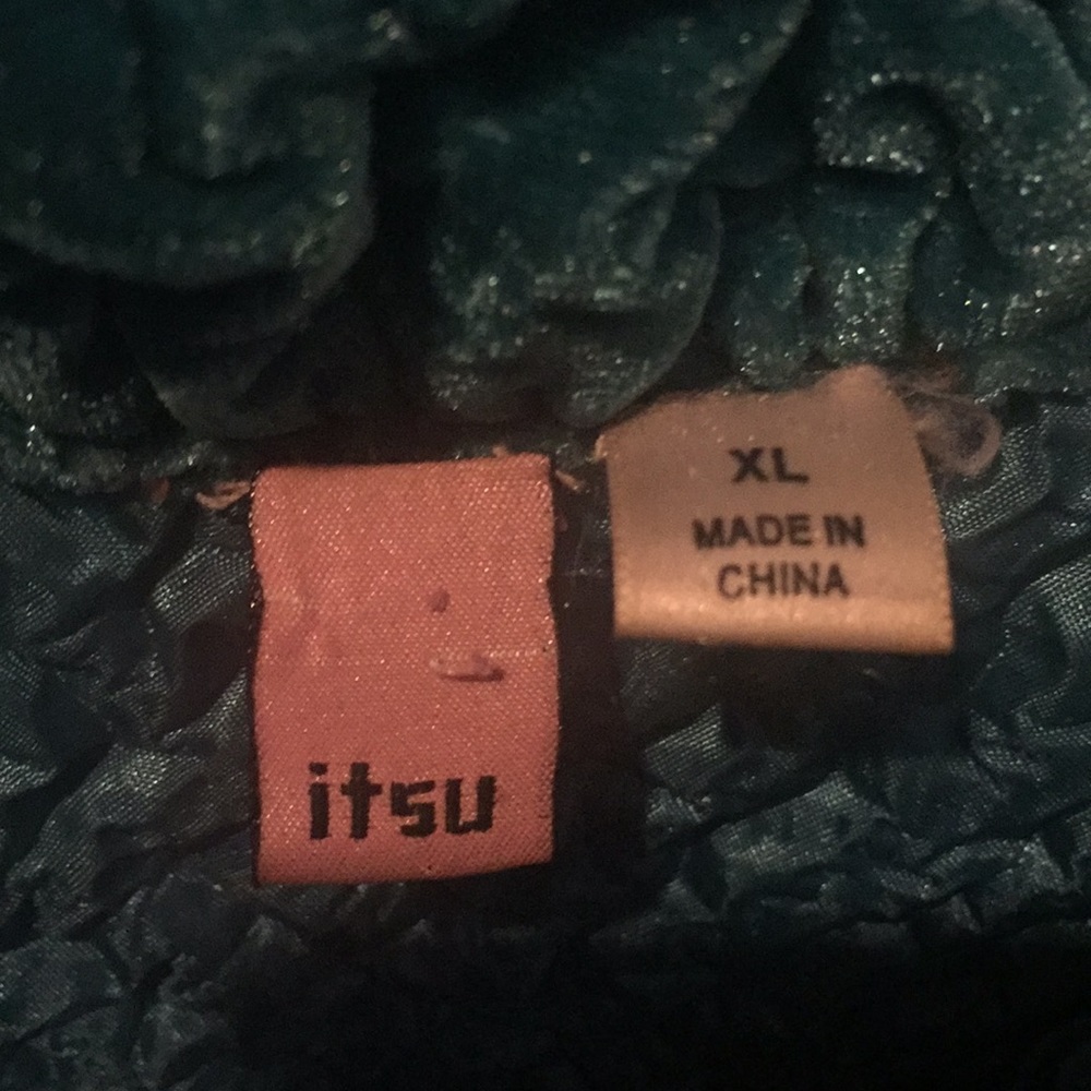 Itsu Velour Jacket - image 3